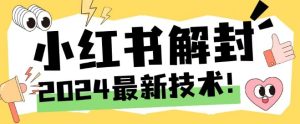 2024最新小红书账号封禁解封方法，无限释放手机号-网创项目总站