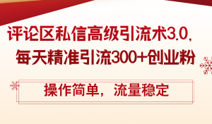 （12145期）评论区私信高级引流术3.0，每天精准引流300+创业粉，操作简单，流量稳定-网创项目总站