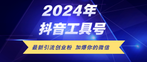 （12149期）24年抖音最新工具号日引流300+创业粉，日入5000+-网创项目总站