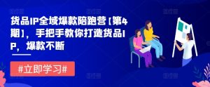 货品IP全域爆款陪跑营【第4期】，手把手教你打造货品IP，爆款不断-网创项目总站