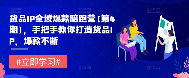 货品IP全域爆款陪跑营【第4期】，手把手教你打造货品IP，爆款不断-网创项目总站
