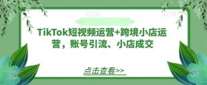 TikTok短视频运营+跨境小店运营，账号引流、小店成交-网创项目总站