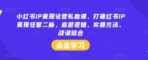 小红书IP变现运营私教课，打通红书IP变现任督二脉，底层逻辑、实操方法、战训结合-网创项目总站