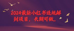 2024最新小红书违规解封项目，长期可做，一个可以做到退休的项目-网创项目总站
