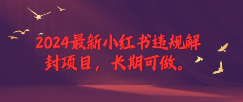 2024最新小红书违规解封项目，长期可做，一个可以做到退休的项目-网创项目总站