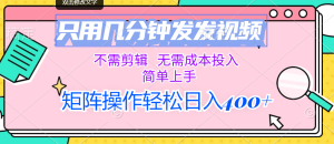 （12159期）只用几分钟发发视频，不需剪辑，无需成本投入，简单上手，矩阵操作轻松…-网创项目总站