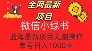 （12163期）全网最新项目，微信小绿书，做第一批吃肉的人，一天十几分钟，无脑单号…-网创项目总站