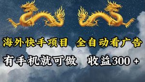 （12175期）海外快手项目，利用工具全自动看广告，每天轻松 300+-网创项目总站