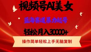 （12178期）视频号AI美女跳舞，轻松月入30000+，蓝海赛道，流量池巨大，起号猛，当…-网创项目总站