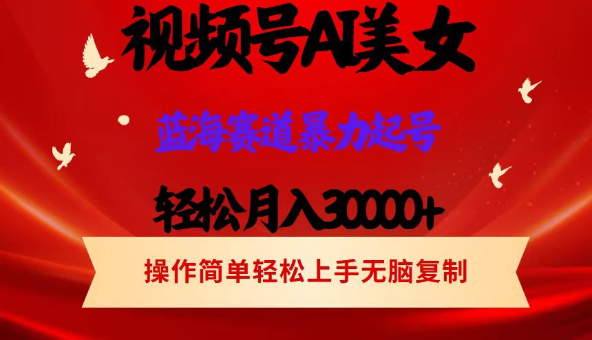 （12178期）视频号AI美女跳舞，轻松月入30000+，蓝海赛道，流量池巨大，起号猛，当…-网创项目总站