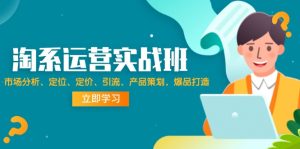 （12186期）淘系运营实战班：市场分析、定位、定价、引流、产品策划，爆品打造-网创项目总站