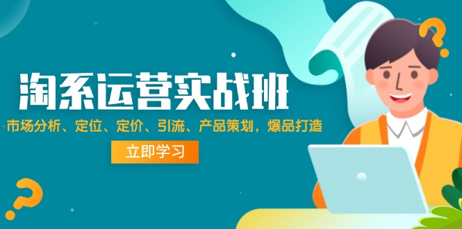 （12186期）淘系运营实战班：市场分析、定位、定价、引流、产品策划，爆品打造-网创项目总站