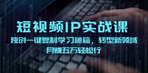（12193期）短视频 IP实战课，独创一键复制学习秘籍，转战新领域，月赚五万轻松行-网创项目总站
