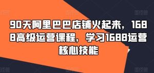 90天阿里巴巴店铺火起来，1688高级运营课程，学习1688运营核心技能-网创项目总站