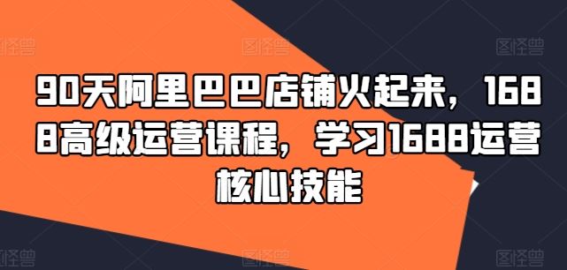 90天阿里巴巴店铺火起来，1688高级运营课程，学习1688运营核心技能-网创项目总站
