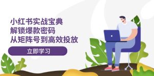 （12201期）小红书实战宝典：解锁爆款密码，从矩阵号到高效投放-网创项目总站