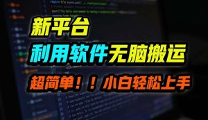 （12203期）B站平台用软件无脑搬运，月赚10000+，小白也能轻松上手-网创项目总站