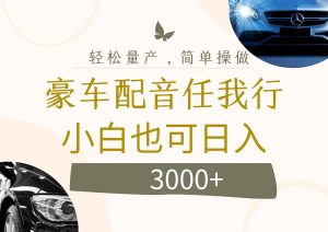（12206期）不为人知的暴力小项目，豪车配音，日入3000+-网创项目总站