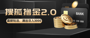 （12212期）搜狐撸金2.0最新玩法，无脑日入3000+，可无限扩大-网创项目总站