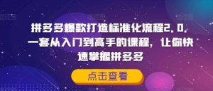 拼多多爆款打造标准化流程2.0，一套从入门到高手的课程，让你快速掌握拼多多-网创项目总站