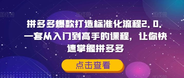 拼多多爆款打造标准化流程2.0，一套从入门到高手的课程，让你快速掌握拼多多-网创项目总站