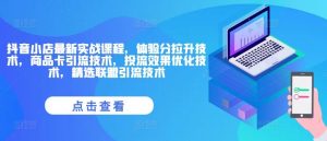 抖音小店最新实战课程，体验分拉升技术，商品卡引流技术，投流效果优化技术，精选联盟引流技术-网创项目总站