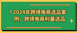 2024年跨境电商选品案例，跨境电商利基选品（更新）-网创项目总站