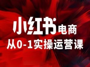 小红书电商从0-1实操运营课,让你从小白到精英-网创项目总站