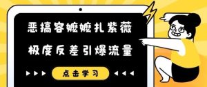 恶搞容嬷嬷扎紫薇短视频，极度反差引爆流量-网创项目总站