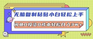 （12258期）无脑复制粘贴，小白轻松上手，电商0投资0成本轻松月入3W+-网创项目总站