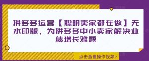 拼多多运营【聪明卖家都在做】无水印版,为拼多多中小卖家解决业绩增长难题-网创项目总站