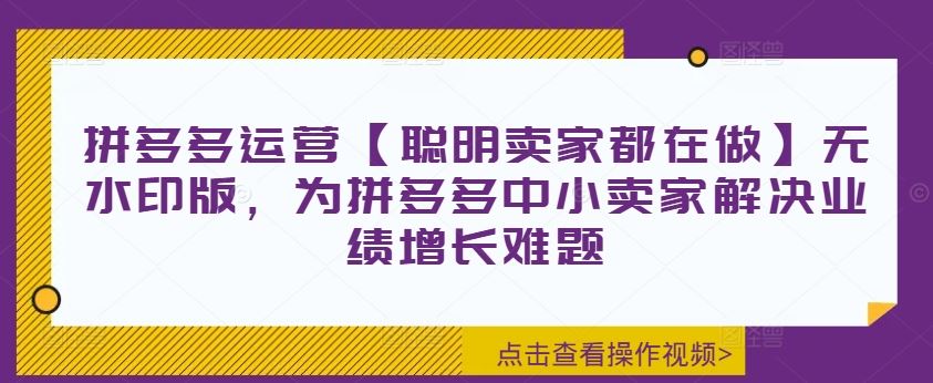 拼多多运营【聪明卖家都在做】无水印版,为拼多多中小卖家解决业绩增长难题-网创项目总站