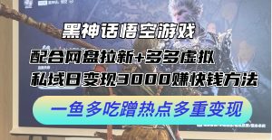 （12316期）黑神话悟空游戏配合网盘拉新+多多虚拟+私域日变现3000+赚快钱方法。…-网创项目总站