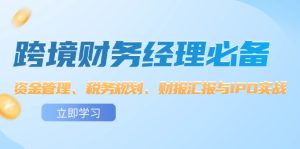 （12323期）跨境 财务经理必备：资金管理、税务规划、财报汇报与IPO实战-网创项目总站