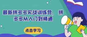 最新拼多多实战训练营， 拼多多从入门到精通-网创项目总站