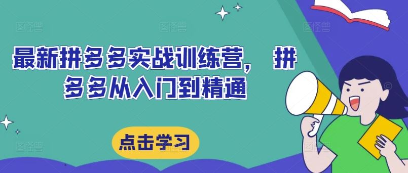 最新拼多多实战训练营， 拼多多从入门到精通-网创项目总站