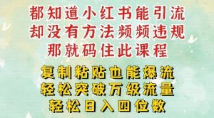 小红书靠复制粘贴一周突破万级流量池干货，以减肥为例，每天稳定引流变现四位数【揭秘】-网创项目总站