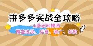 拼多多实战全攻略：0基础到精通，覆盖选品、运营、推广、起款-网创项目总站