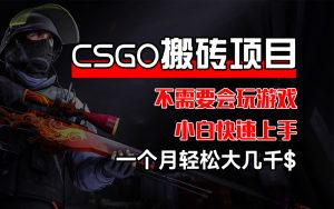（12332期）CSGO 装备搬砖项目，操作简单，不需要会玩游戏，小白也能快速上手，一…-网创项目总站
