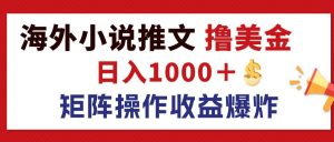 （12333期）最新海外小说推文撸美金，日入1000＋ 蓝海市场，矩阵放大收益爆炸-网创项目总站