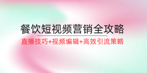 （12335期）餐饮短视频营销全攻略：直播技巧+视频编辑+高效引流策略-网创项目总站