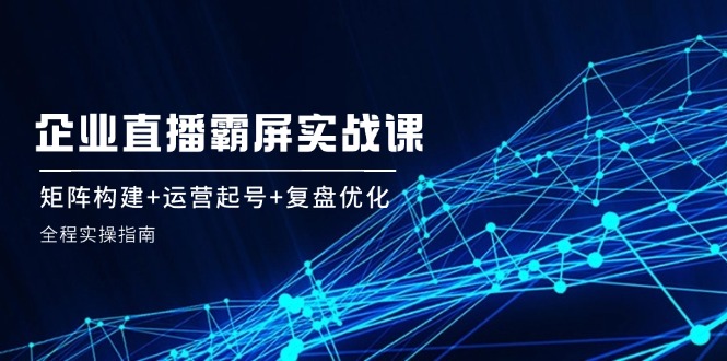 （12338期）企 业 直 播 霸 屏实战课：矩阵构建+运营起号+复盘优化，全程实操指南-网创项目总站
