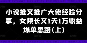 小说推文推广大佬经验分享，女频长文1天1万收益爆单思路(上)-网创项目总站