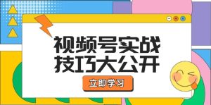 视频号实战技巧大公开：选题拍摄、运营推广、直播带货一站式学习-网创项目总站