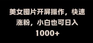 美女图片开屏操作，快速涨粉，小白也可日入1k【揭秘】-网创项目总站