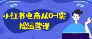 小红书电商从0-1实操运营课，小红书手机实操小红书/IP和私域课/小红书电商电脑实操板块等-网创项目总站