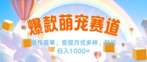 （12473期）视频号爆款赛道，操作简单，变现方式多，轻松日入1000+-网创项目总站