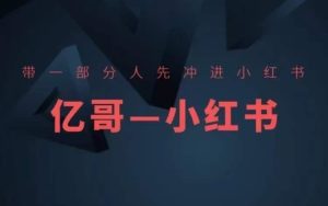 ​​带一部分人先冲进小红书，小红书开店、选品、爆款裂变-网创项目总站