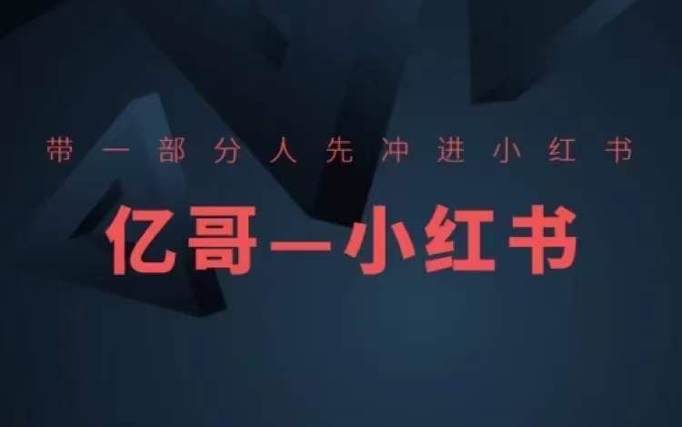 ​​带一部分人先冲进小红书，小红书开店、选品、爆款裂变-网创项目总站
