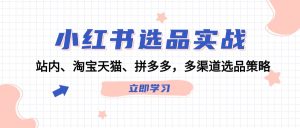 小红书选品实战：站内、淘宝天猫、拼多多，多渠道选品策略-网创项目总站